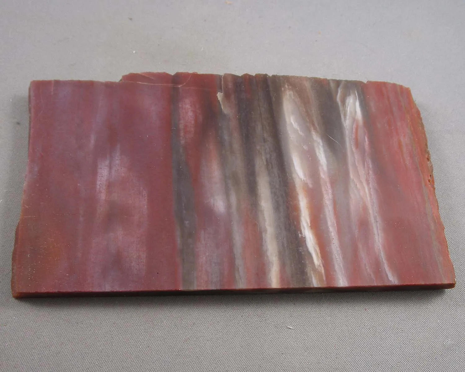 30% OFF!  Rainbow Petrified Wood Slice (Arizona) 1pc B053-3