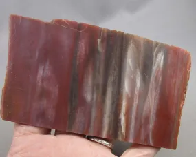 30% OFF!  Rainbow Petrified Wood Slice (Arizona) 1pc B053-3