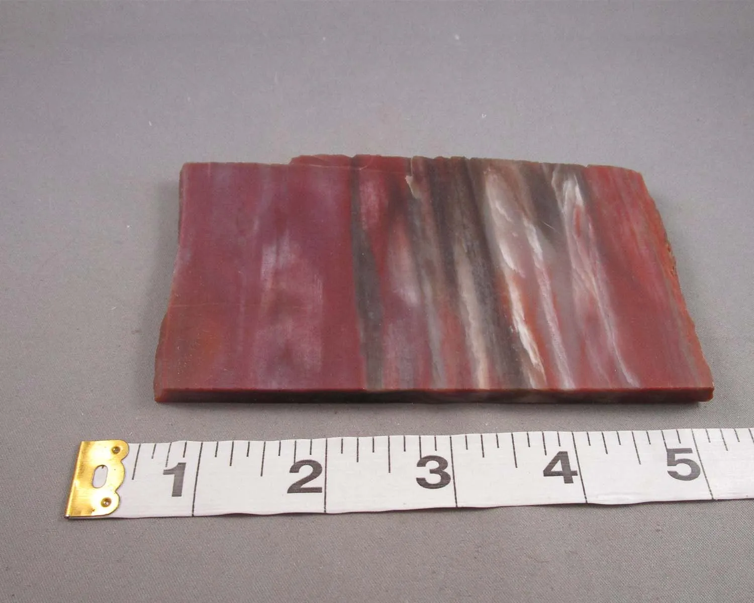 30% OFF!  Rainbow Petrified Wood Slice (Arizona) 1pc B053-3