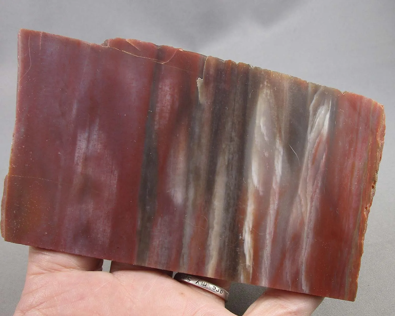 30% OFF!  Rainbow Petrified Wood Slice (Arizona) 1pc B053-3