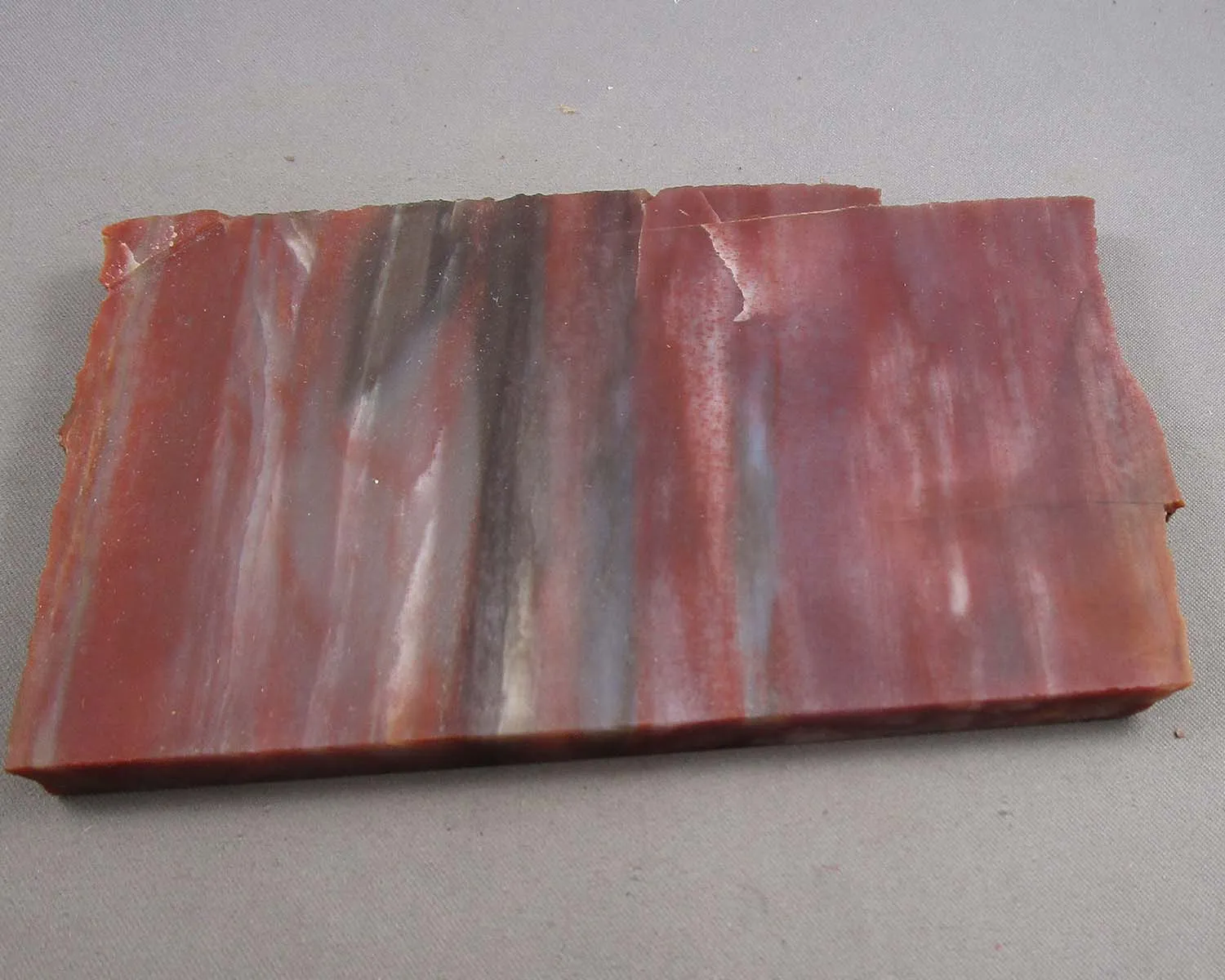 30% OFF!  Rainbow Petrified Wood Slice (Arizona) 1pc B053-4