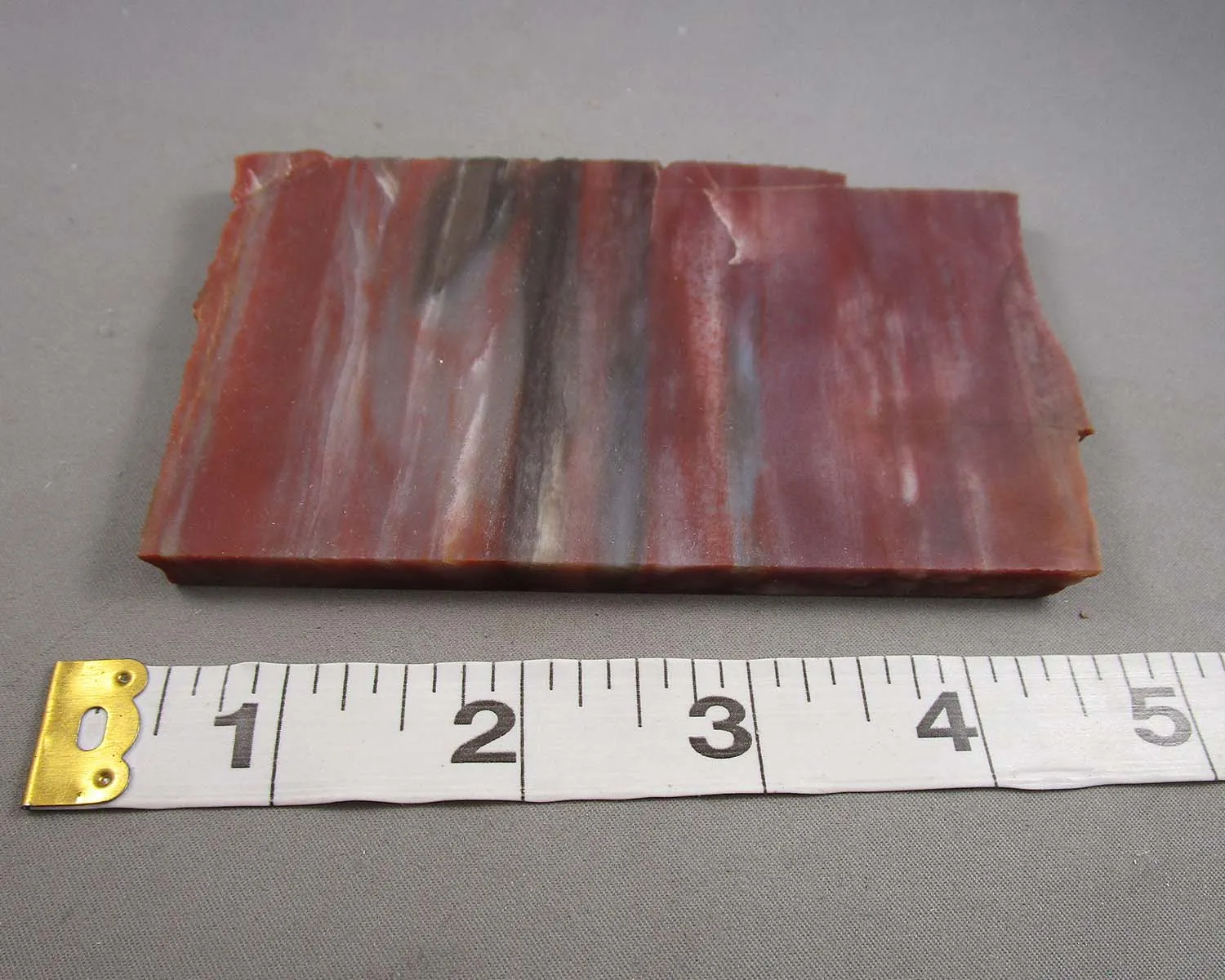 30% OFF!  Rainbow Petrified Wood Slice (Arizona) 1pc B053-4