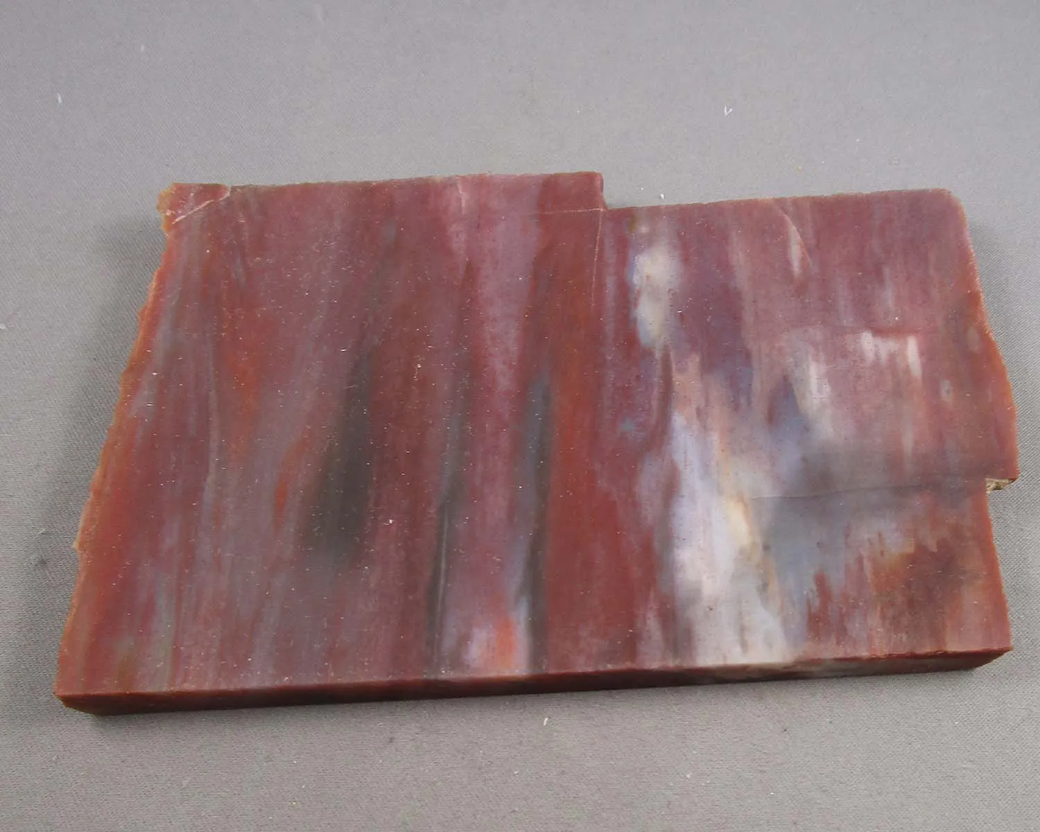 30% OFF!  Rainbow Petrified Wood Slice (Arizona) 1pc B053-5