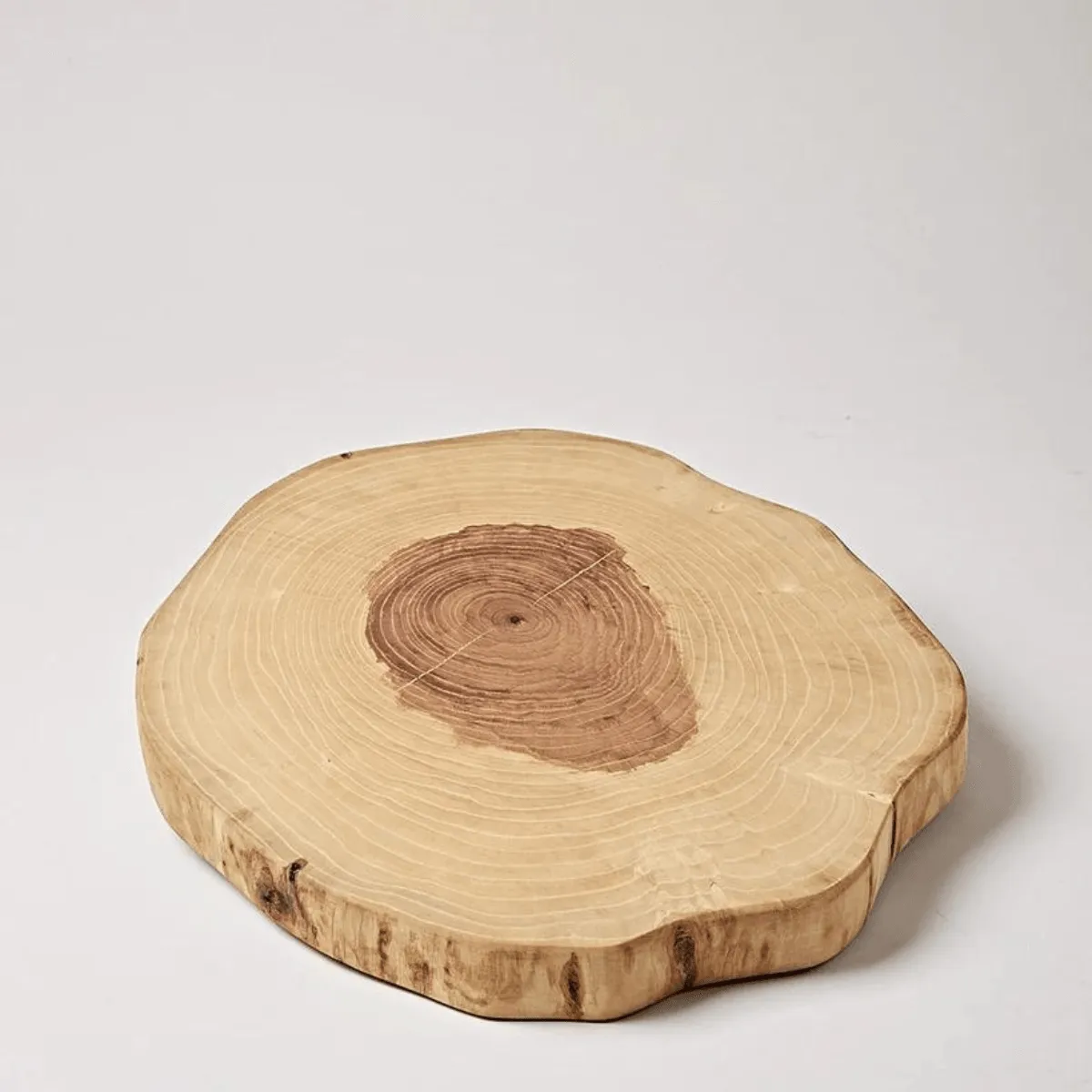 Ash Wood Slice