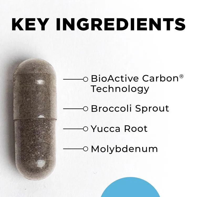 BioToxin Binder | Microbiome & Detox Support - 120 Capsules