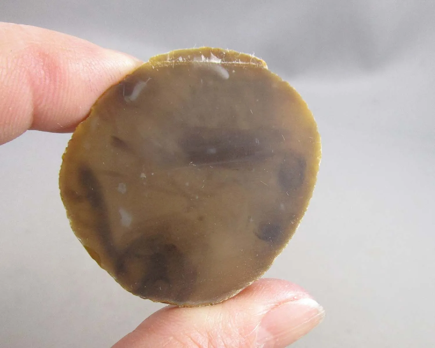 Brown Agate Slices 2pc Z005