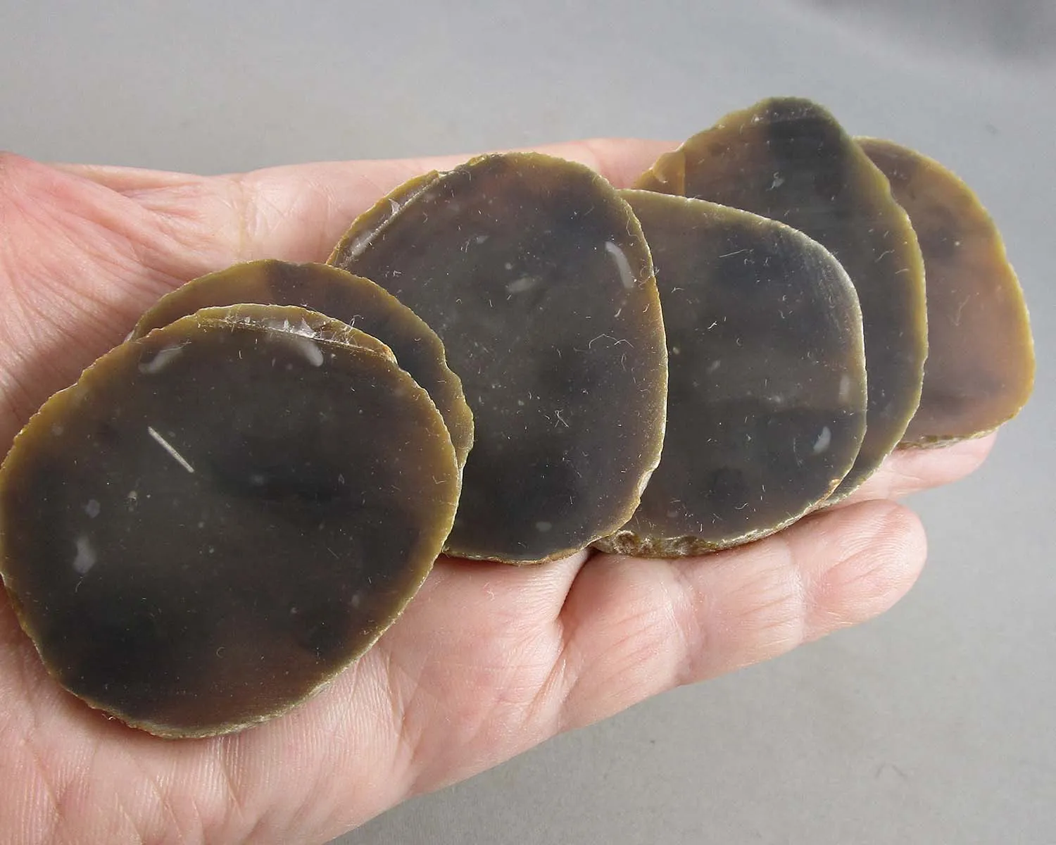 Brown Agate Slices 2pc Z005