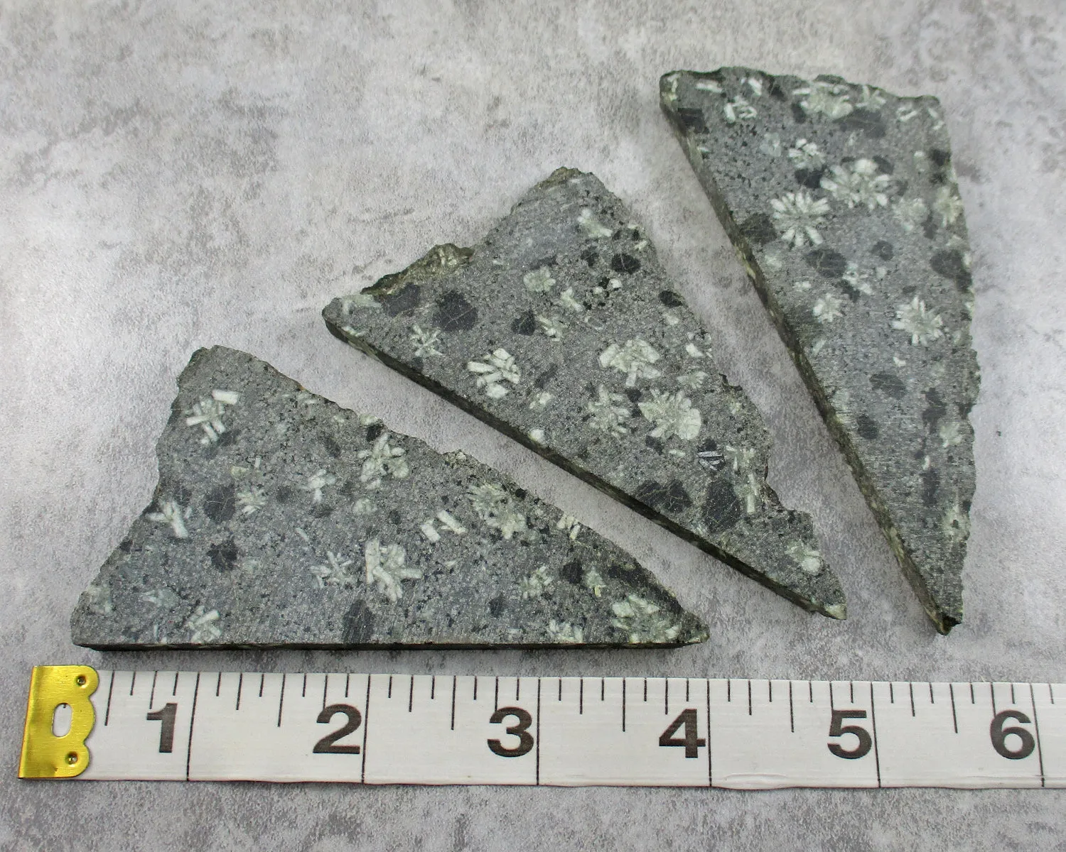 Chrysanthemum Stone Slice 1pc J031