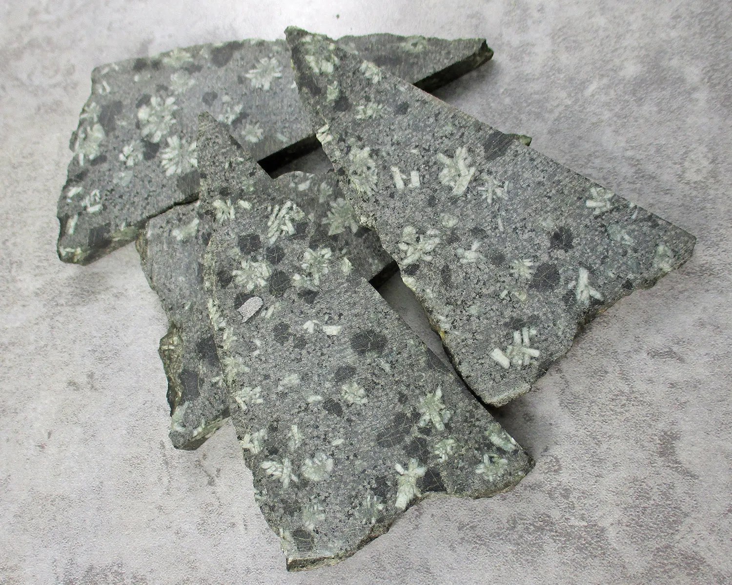 Chrysanthemum Stone Slice 1pc J031