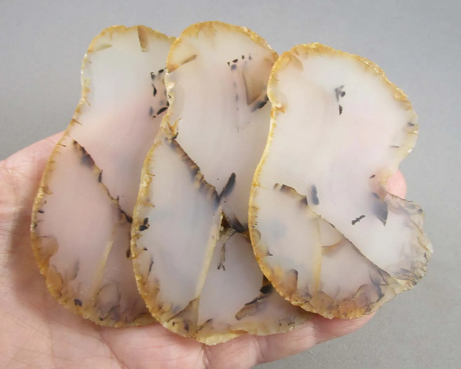 Dendritic Agate Stone Slice 1pc Z006