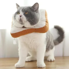 Foodilicious E Collar