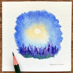Lavenders and blue