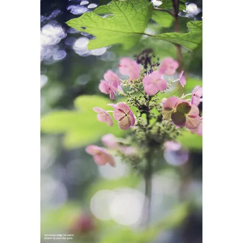 Lensbaby Composer Pro II with Edge 50 Optic Lens for L Mount