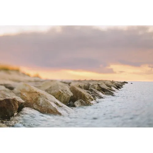 Lensbaby Composer Pro II with Edge 50 Optic Lens for L Mount