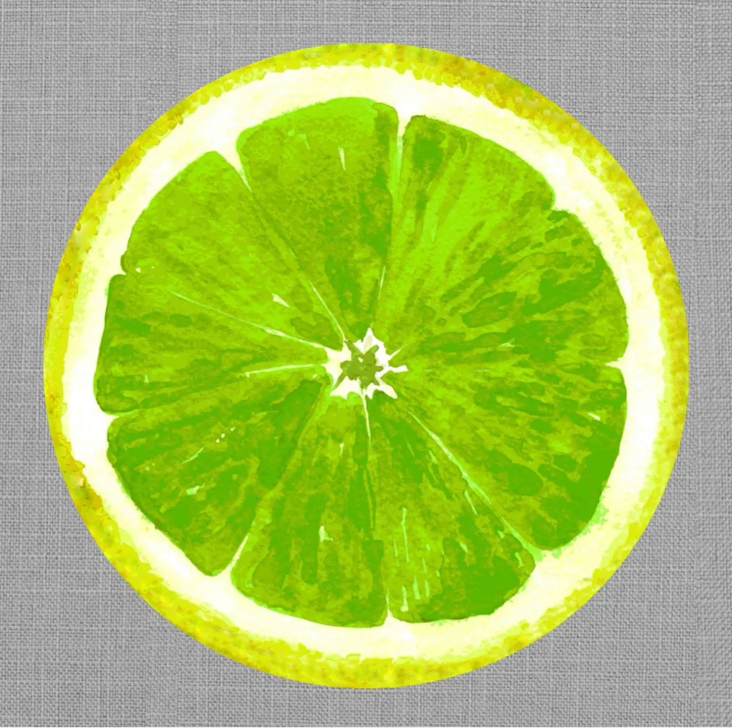 Lime Slice Round Die Cut