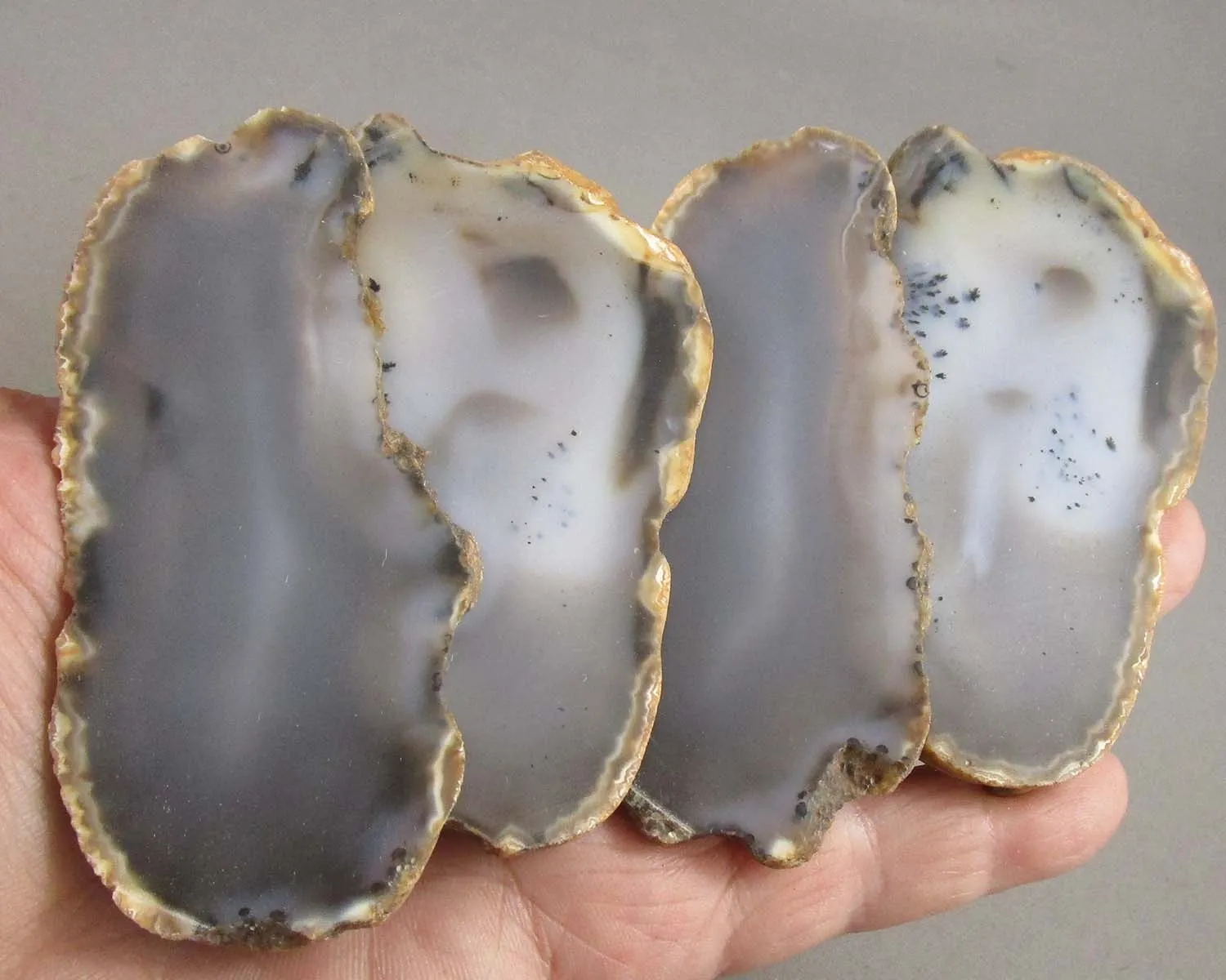 Natural Agate Slice 1pc Z008