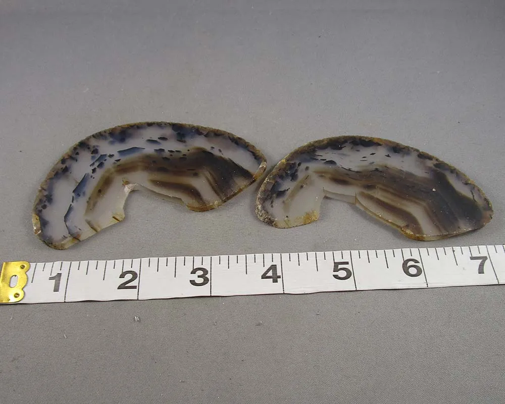 Natural Agate Slice 1pc Z040