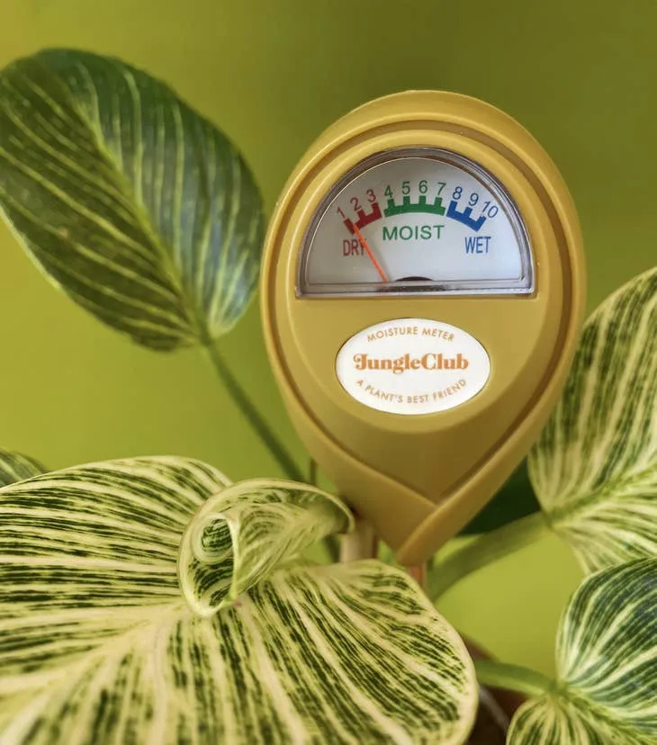 Plant Moisture Meter