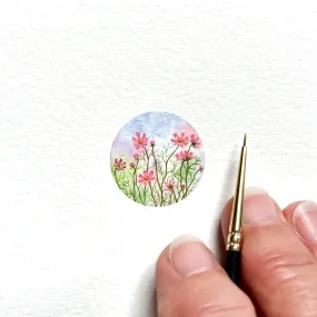 Pretty, pink cosmos