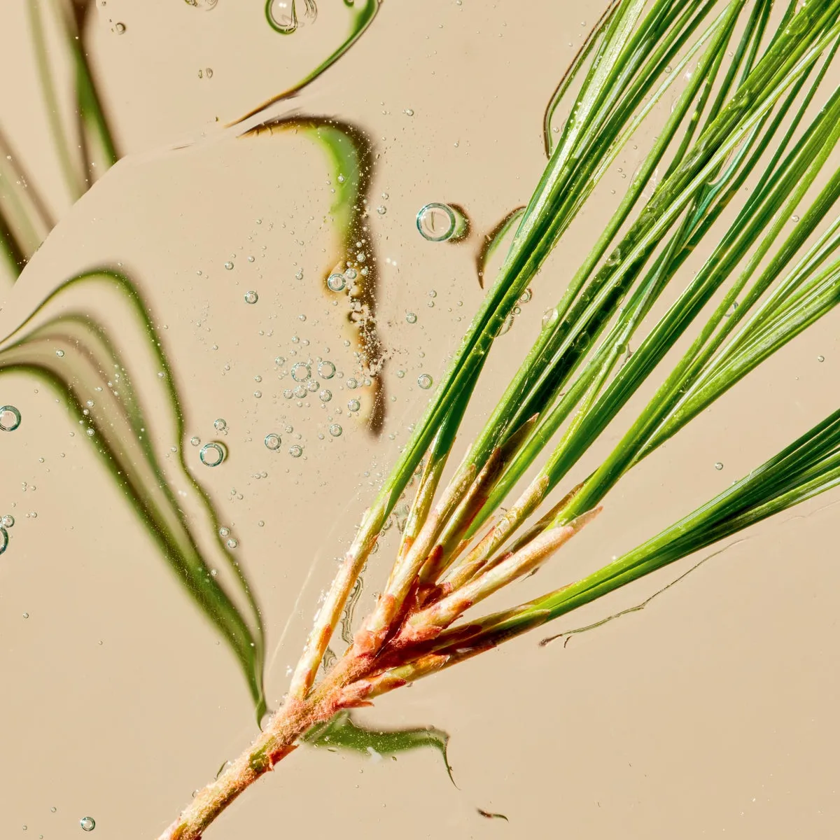 Refining Cleanser