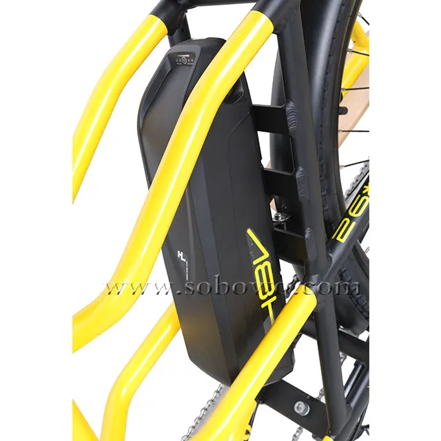 SOBOWO C19 unique design double battery electric cargo bike