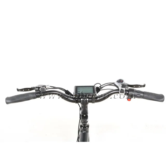 SOBOWO C19 unique design double battery electric cargo bike