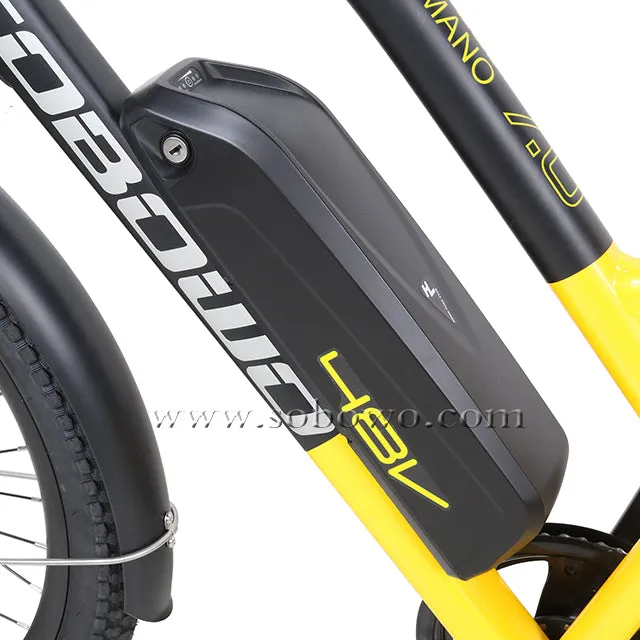 SOBOWO C19 unique design double battery electric cargo bike
