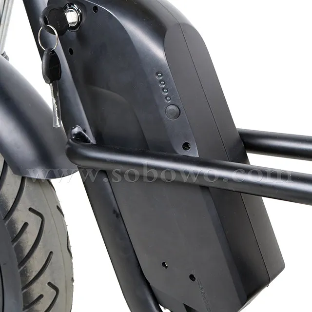 SOBOWO S68 unique design double battery electric fat bike