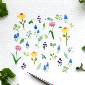 Spring flowers